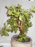 DSCN0890.JPG