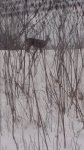 20160117_155424.jpg