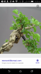 Screenshot_2016-02-06-10-05-13.png