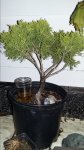 20160518_205340.jpg