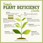 simple-plant-deficiency-guide.png