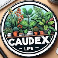 Caudex_life