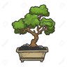 Smithlandia Bonsai