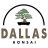 DallasBonsai