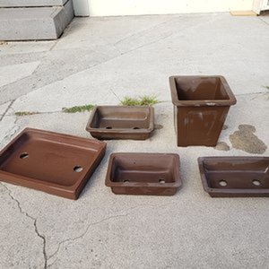 bonsai pots