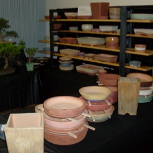 My stand at 2009 'Joy of Bonsai' show