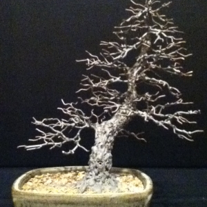 Metal bonsai sculpture