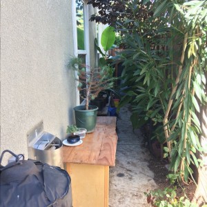 Side of house entry/bonsai table