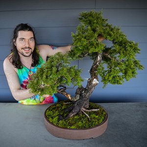 Tsugamori's first bonsai pot