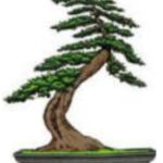 phoenixbonsai.com