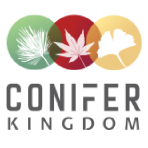 www.coniferkingdom.com