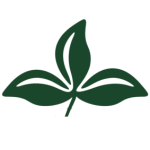 www.covingtonnursery.com