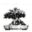 kensworldofbonsai.com