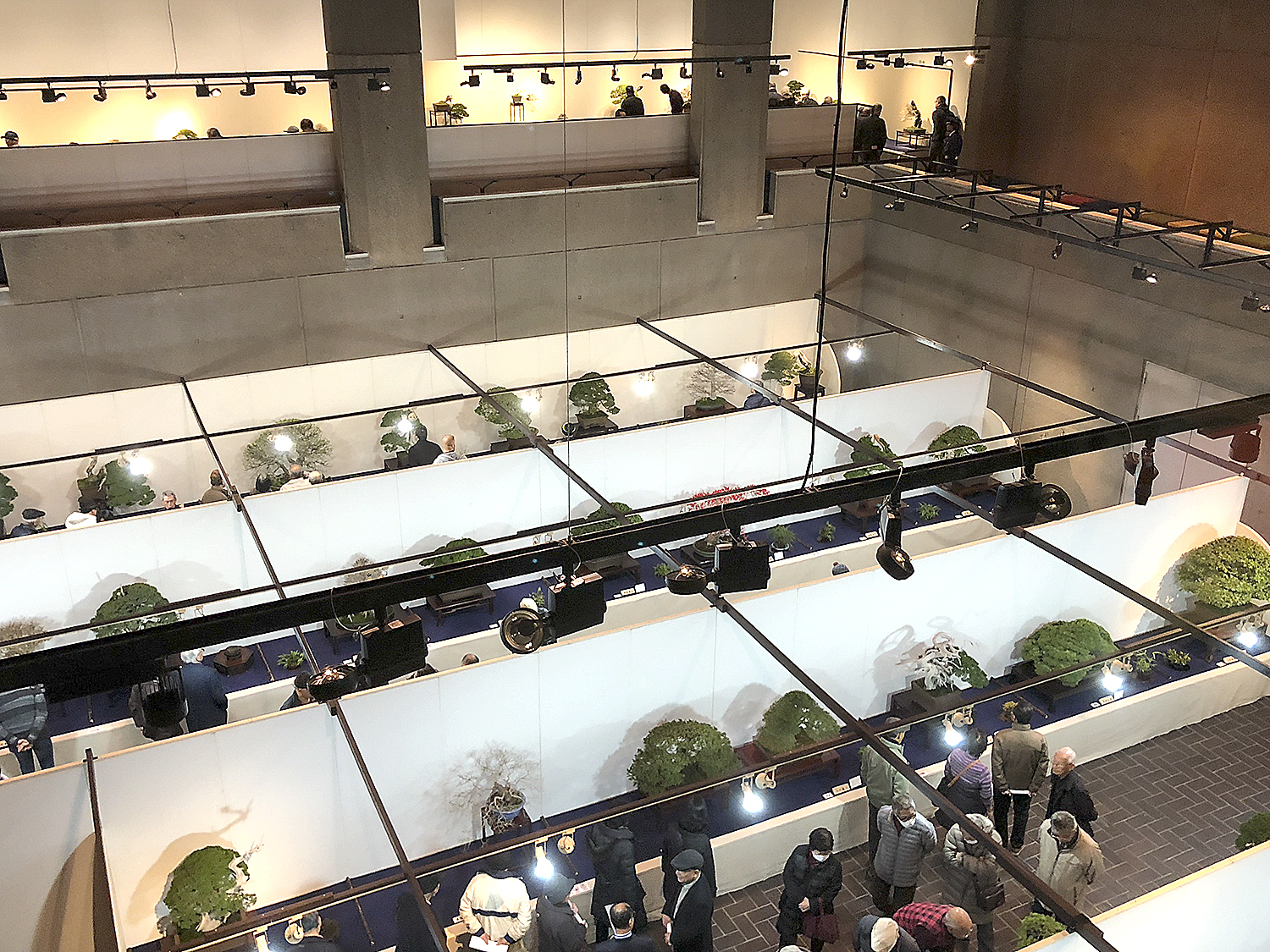 valavanisbonsaiblog.com