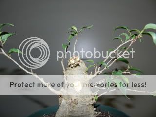008-70.jpg