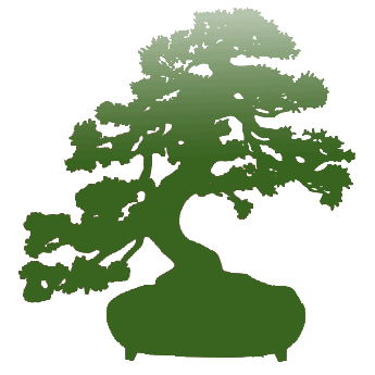 www.blackriverbonsai.com