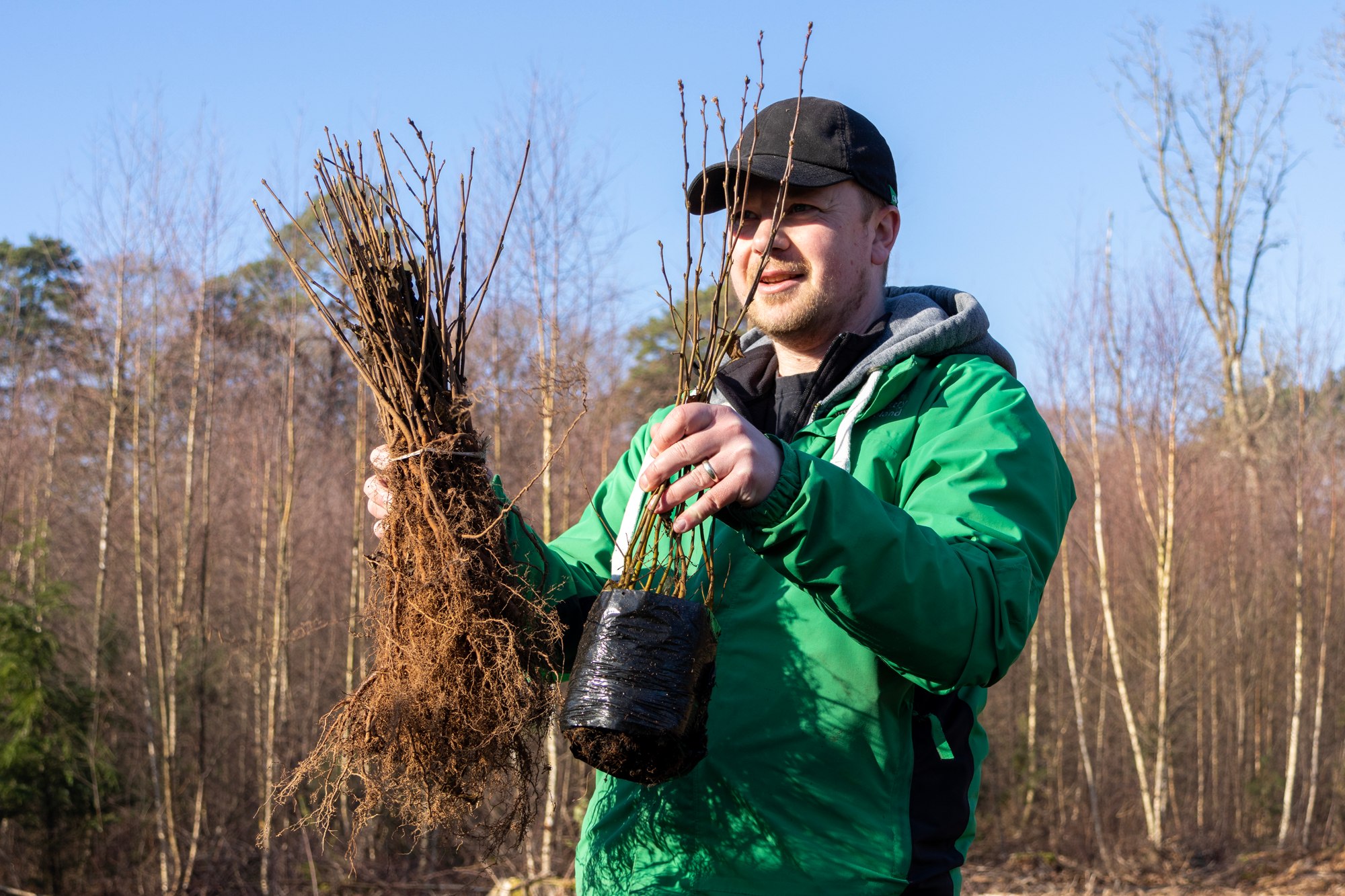 www.forestryengland.uk