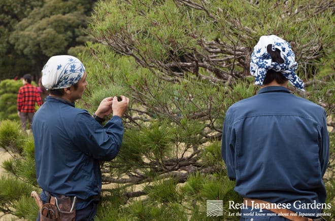 realjapanesegardens.wordpress.com