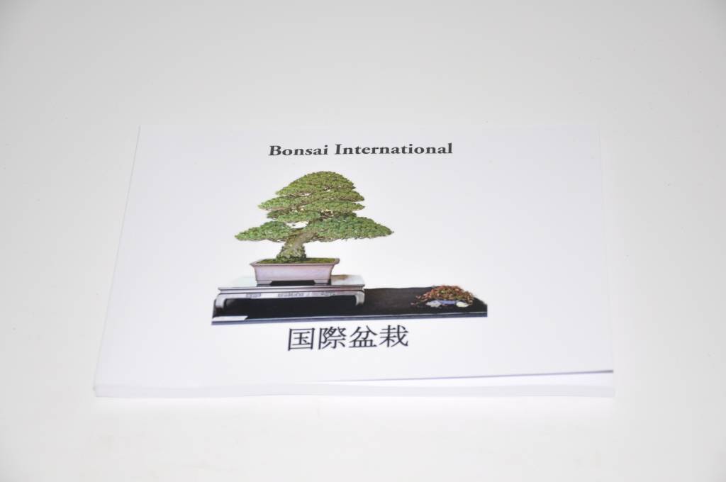 bonsai-international.jpg