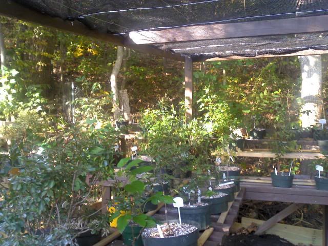 2013-10-06_16-56-39_249_zps927f4b81.jpg