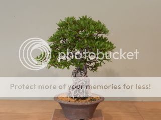013-35.jpg