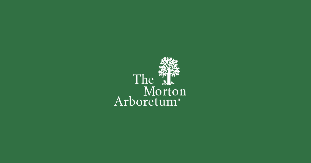 mortonarb.org