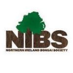 www.nibonsai.co.uk